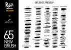 Razum Brush Pack Premium.jpg