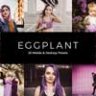 20 Eggplant Lightroom Presets & LUTs
