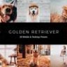20 Golden Retriever Lightroom Presets & LUTs