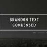 Font - Brandon Text Condensed