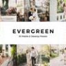 20 Evergreen Lightroom Presets & LUTs