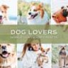 5 Dog Lovers Lightroom Presets