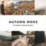 20 Autumn Moss Lightroom Presets & LUTs