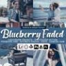 20 Blueberry Faded Lightroom Presets & LUTs