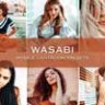 5 Wasabi Lightroom Presets