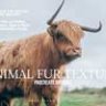Animal Fur Texture Procreate Brushes