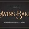 Font - Avins Bake