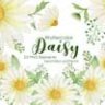 Watercolor Daisy. Seamless Patterns