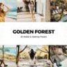 20 Golden Forest Lightroom Presets & LUTs