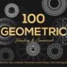 100 Geometric Vector Shapes CSH
