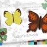 Butterfly and moth Procreate stamp brushes spring