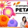 37 Procreate Effortless Petal Brushes