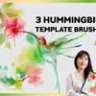 3 Hummingbird Template Brushes Procreate