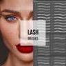 Lashes Brushes Photoshop – Tamara Williams
