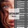 Catchlight Brushes Photoshop – Tamara Williams