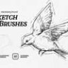 Sketch Brushes for Illustrator