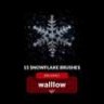 15 Snowflake Photoshop Brushes